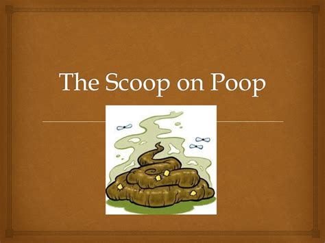 excrement in tagalog|Excrement Meaning .
